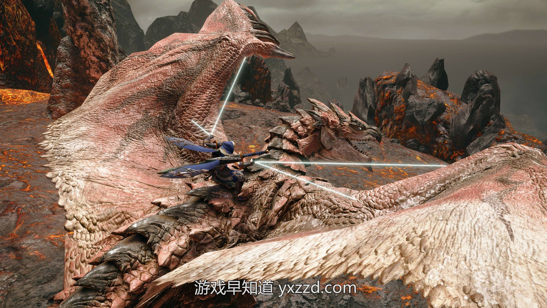 F1 2024 豪华版 截图13